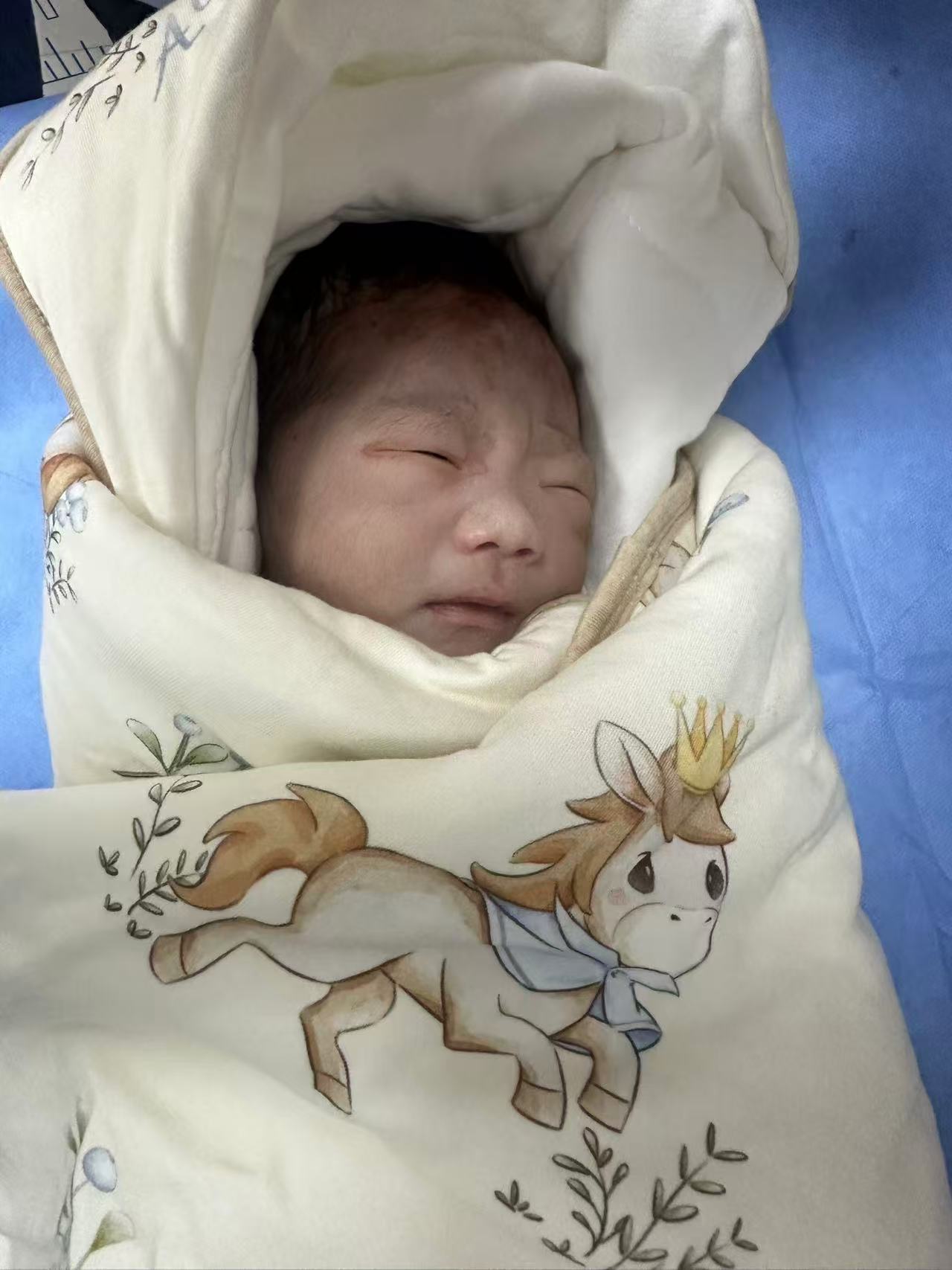 妈妈的手